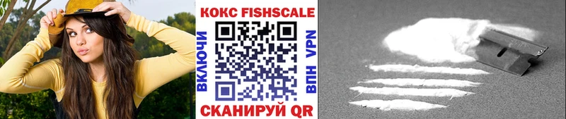магазин  наркотиков  Цимлянск  COCAIN FishScale 