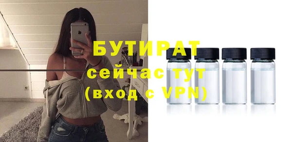 гидра Кулебаки