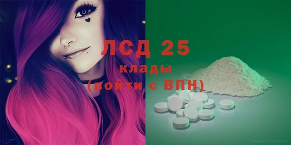 гидра Кулебаки