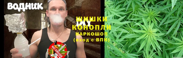 гидра Кулебаки