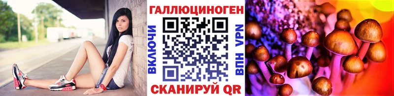 Галлюциногенные грибы мицелий  Цимлянск 